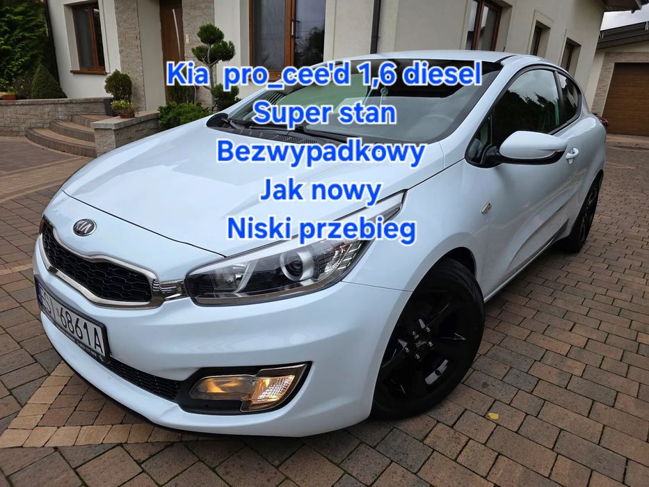 Kia Ceed Już zarejestrowany * Jak nowy * 1,6 110ps diesel* Niski przebieg