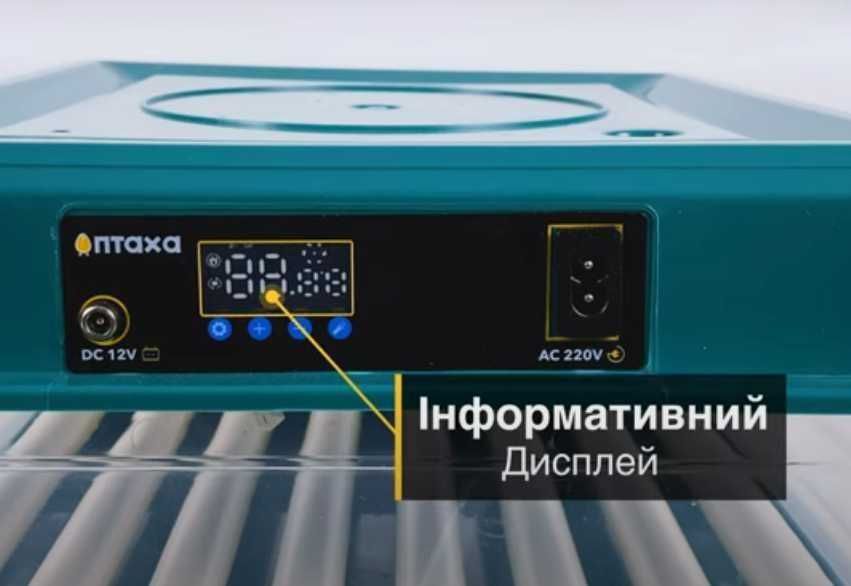 Пластиковий! Інкубатор автоматичний 48 яєць (12/220В) з овоскопом