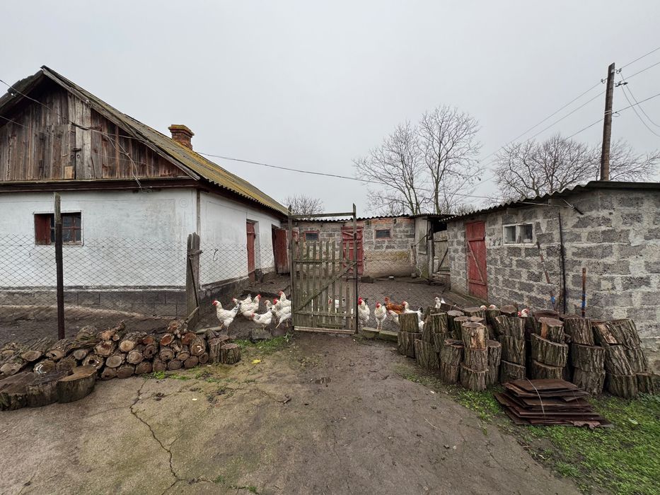 Продаю будинок в с. Синюхин Брід