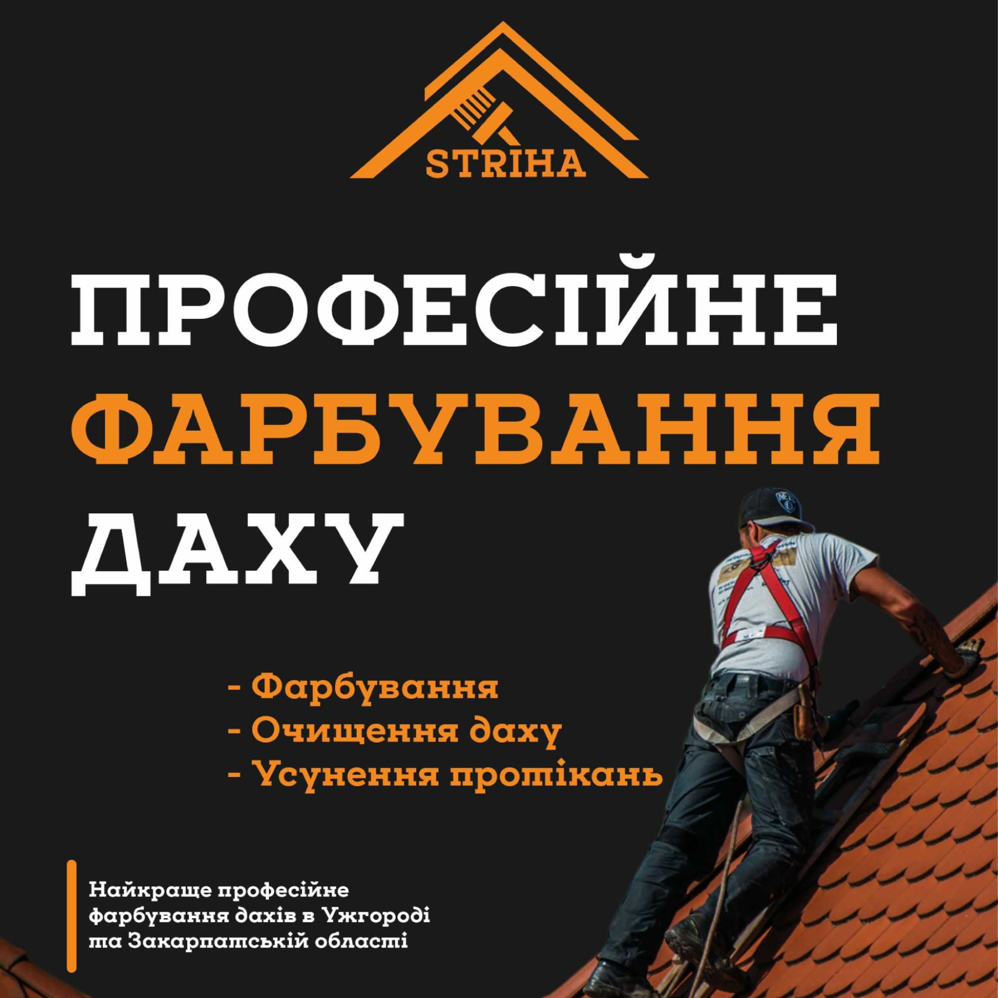 Фарбування дахів Свалява, Свалявський район, Закарпаття. Миття дахів.