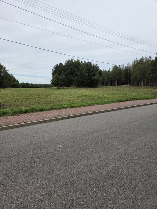 Wydzierżawię plac działka 0.5ha