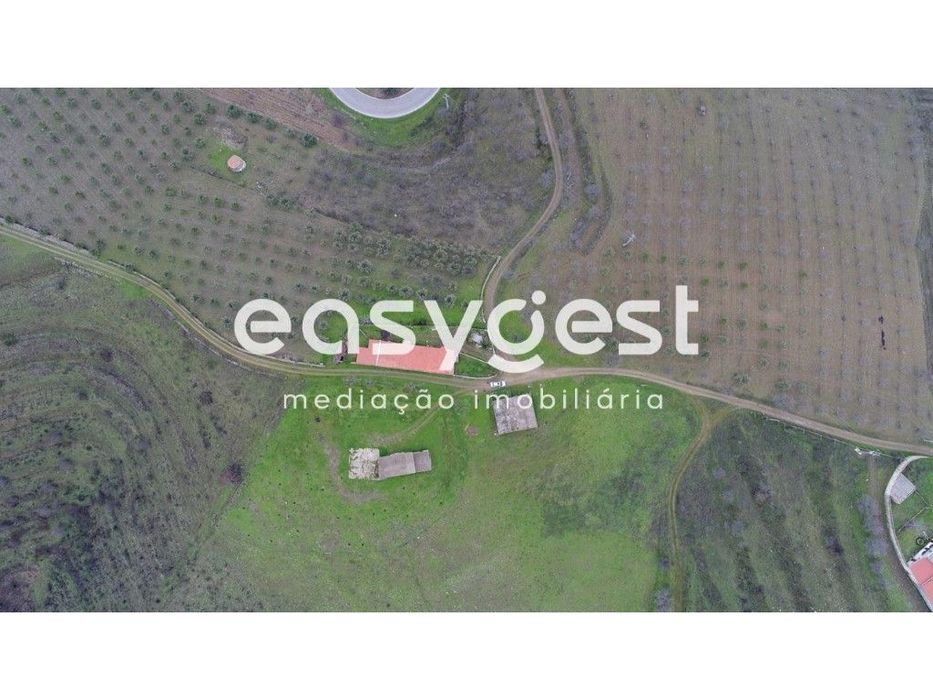 Terreno Rústico - Guarda