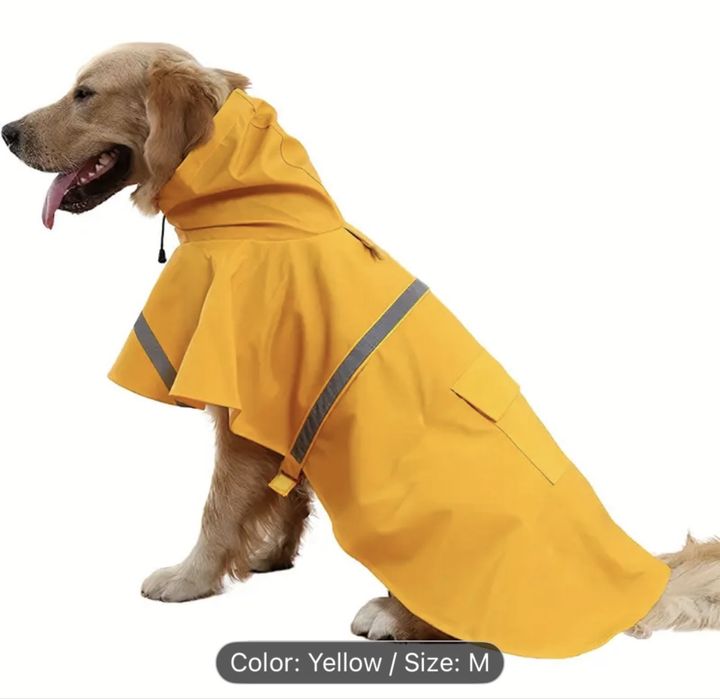 Capa chuva para cão