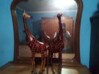 girafas no estado que se encontra se nas fotografias