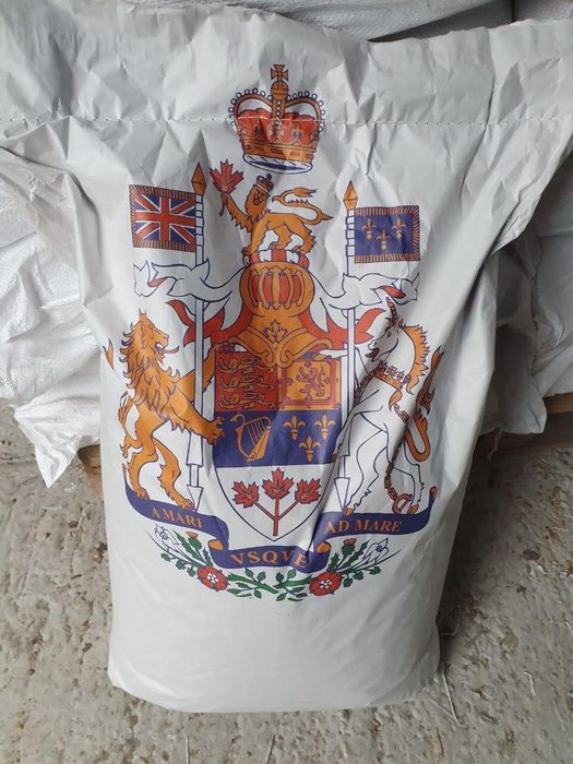 Насіння сої ABEE, ЕЛІТА, канадський трансгенний сорт