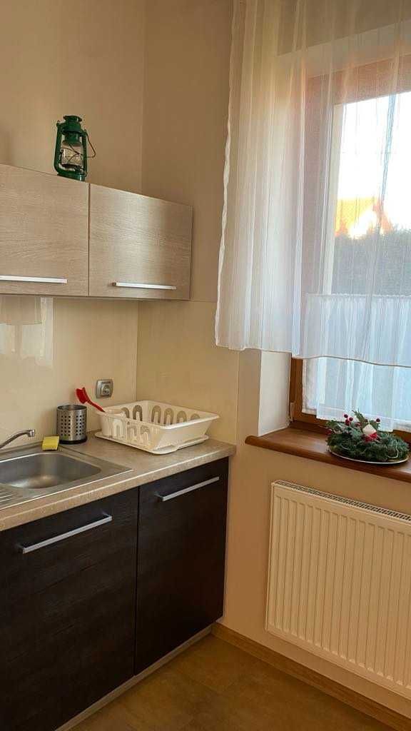 Mieszkanie komfortowe w centrum Lipowej do wynajęcia od 1.09.br