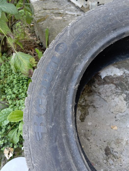 Подарую Barum polaris 3 205 55 16