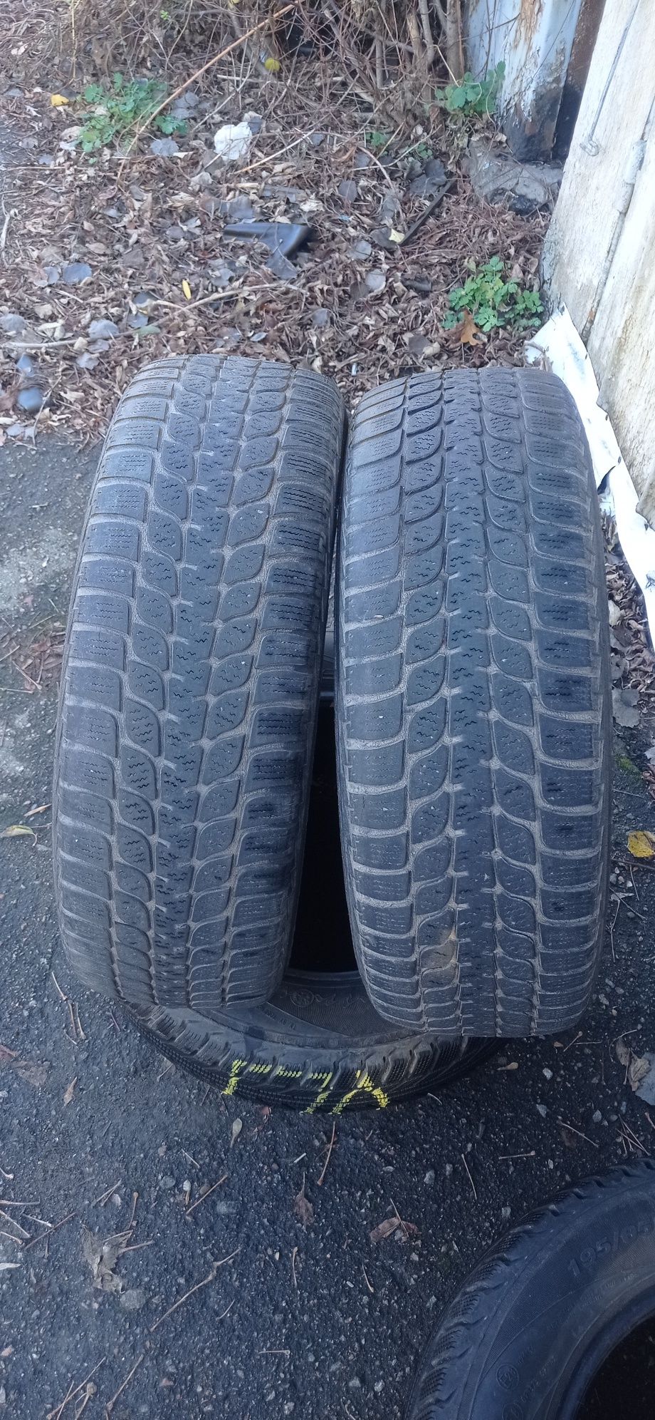 Шини зима Bridgestone 195.65.R15 2шт