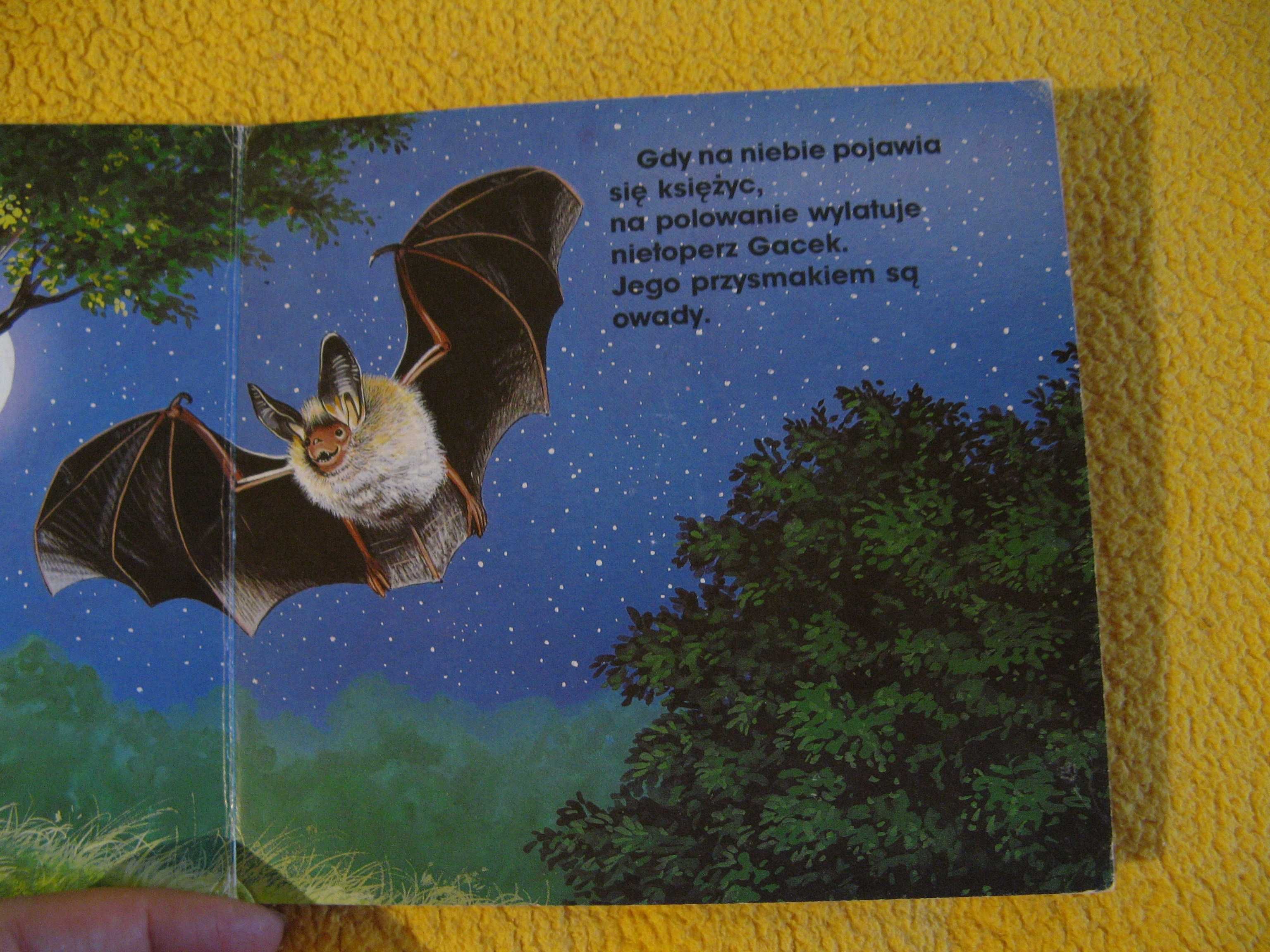 Noc w Zwierzątkowie