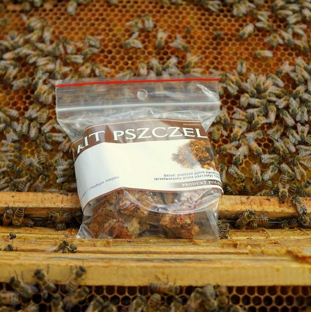 KIT pszczeli propolis sezon świeży własna pasieka