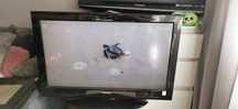 Zestaw telewizor 32 cal DVD Magnetowid VHS 20 szt filmów DVD Okazja