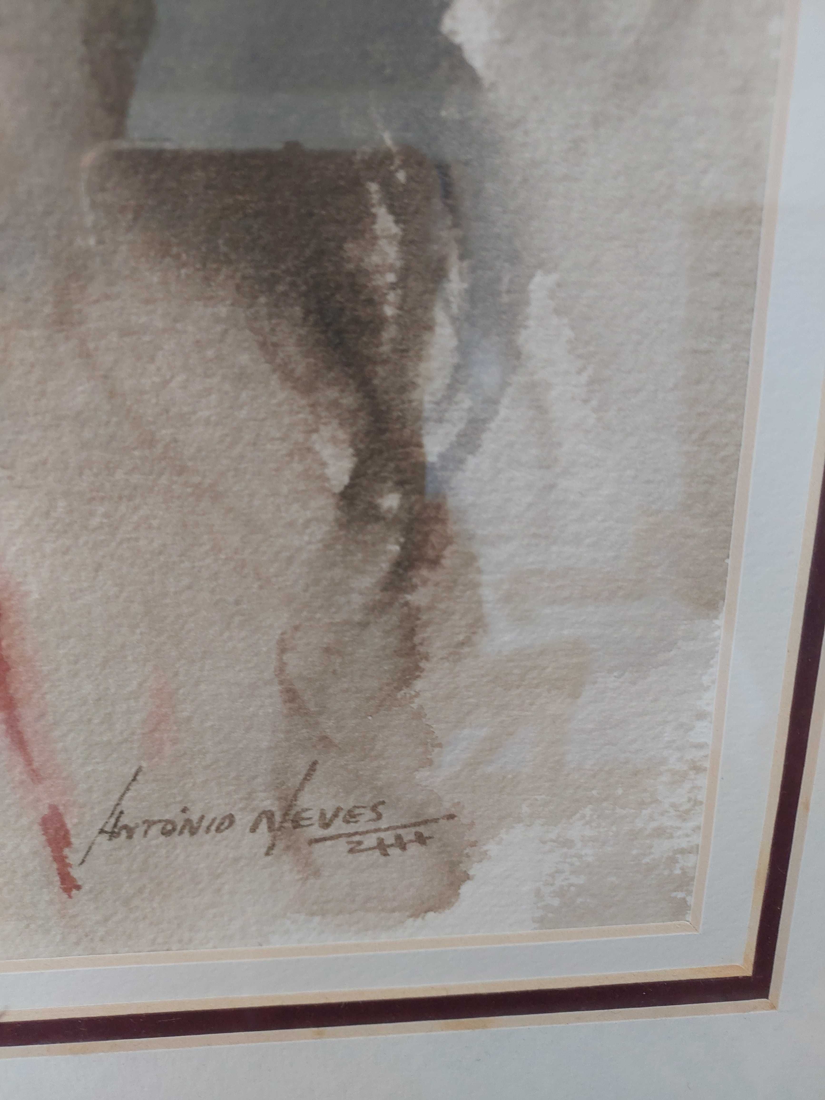Aguarela - artista plástico António Neves
