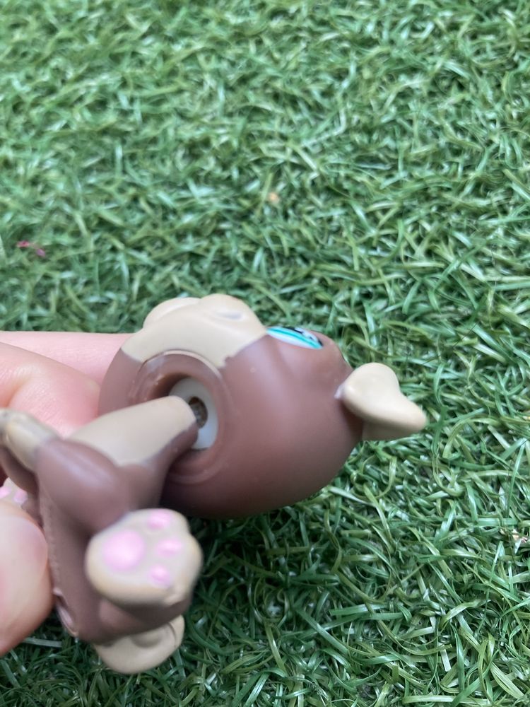 Littlest Pet Shop (LPS) piesek mops unikat
