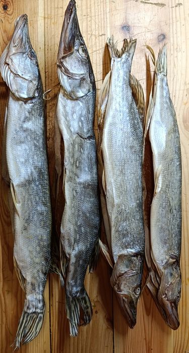 Тарань ( плотва ) с молодой икрой, балык толстолоба, щука вяленая