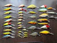 Salmo hornet jaxon karas ,perch