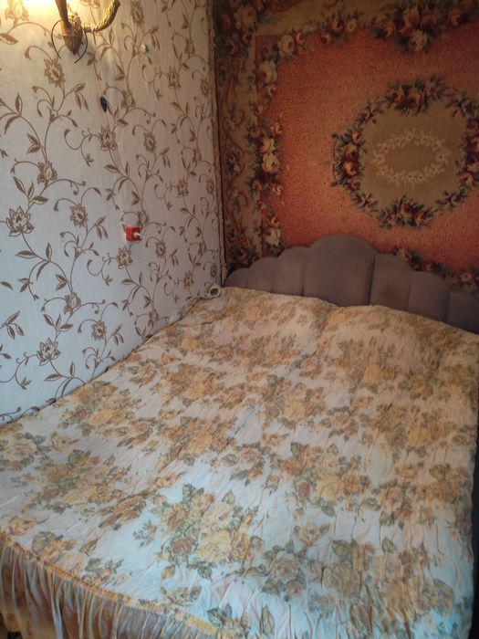 Продам дом в с.Палиево,