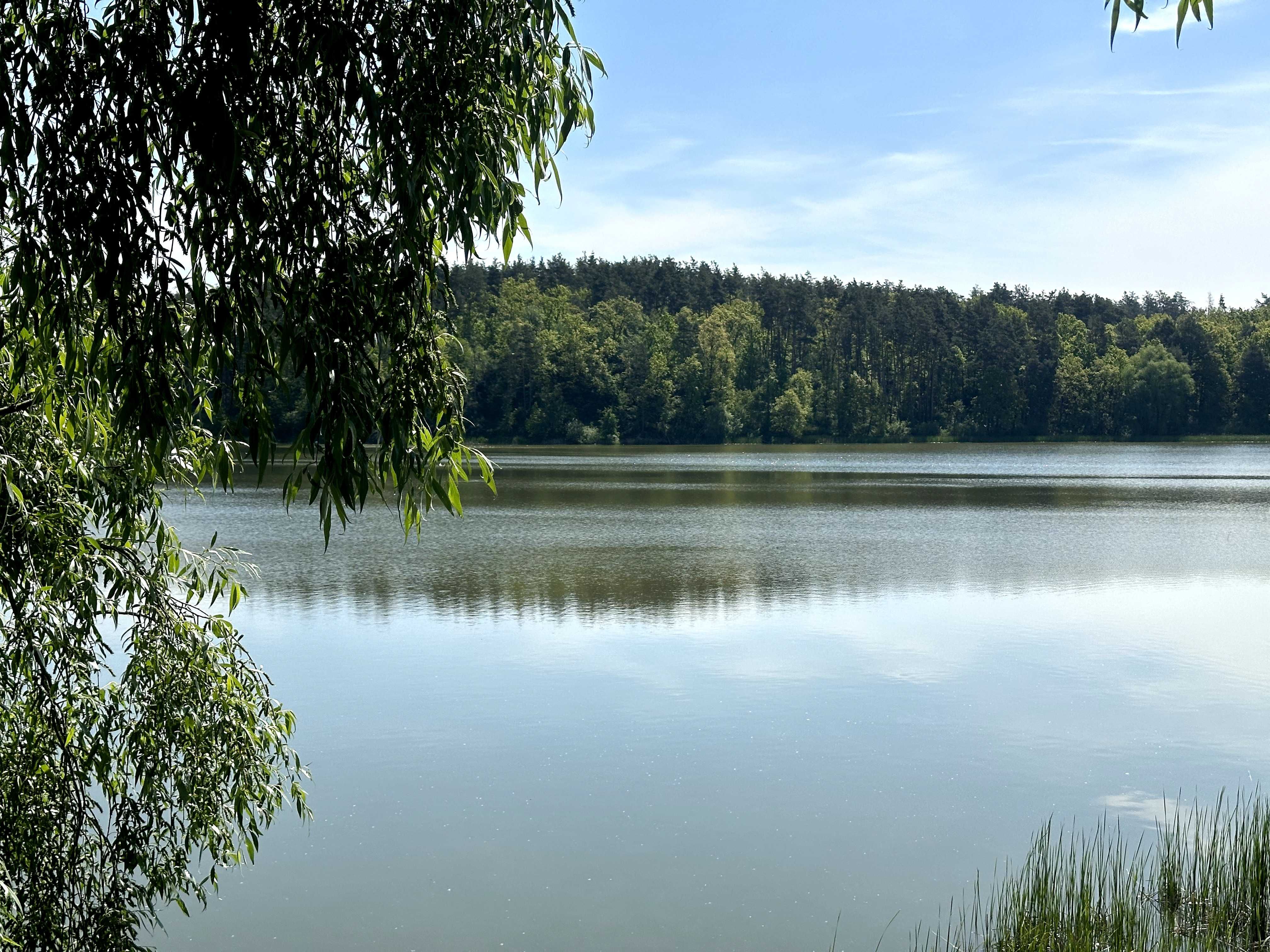 Забір'я, друга ділянка від озера. не в оренді. Терміново!