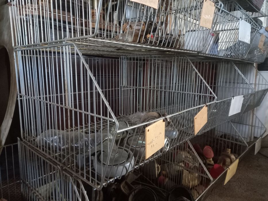 Cestos para arrumação