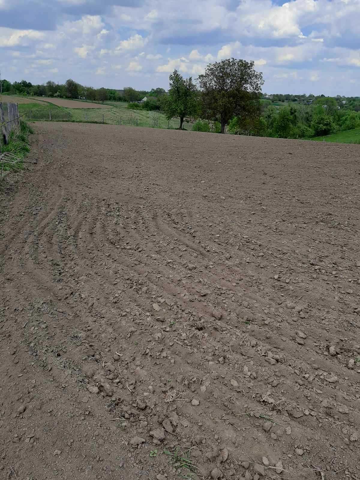 Продається земельна ділянка під забудову у мальовничому с.Полянецьке