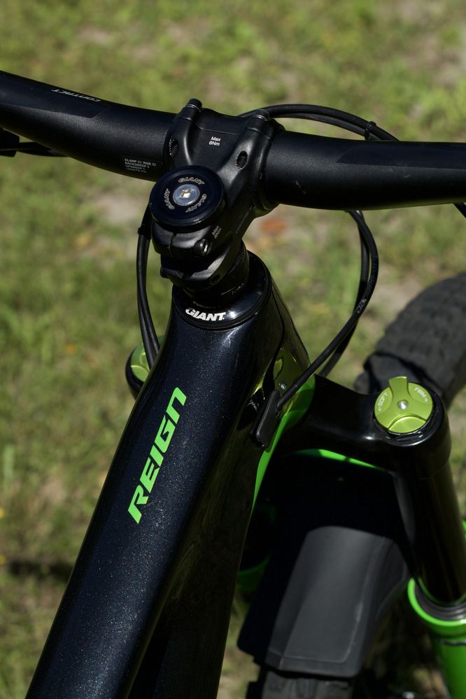 Rower enduro Giant Reign Advanced 1 2019 Carbon