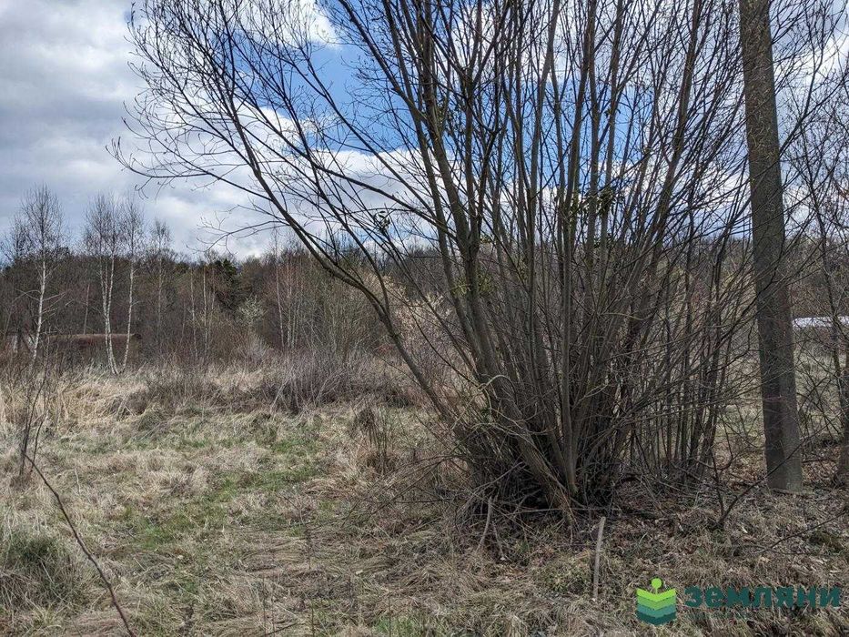 Продається ділянка в с Ценжів 22 сот (1)