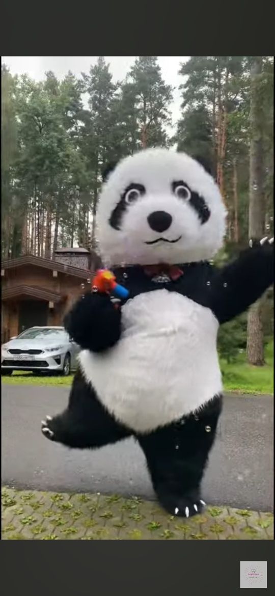 Biały miś Panda( 3m )atrakcje na imprezy wesela urodziny występy w