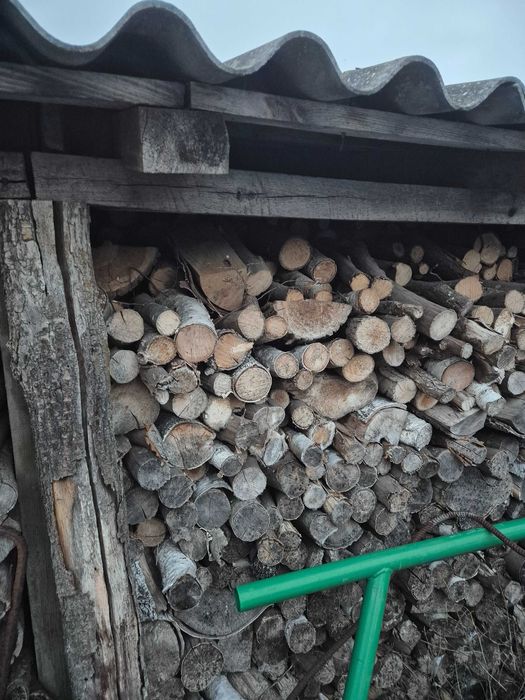 Drewno opałowe sezonowane