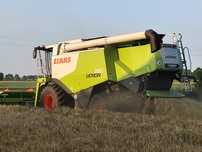Koszenie zbóż 4x4 zbiór omłot zboz grochu rzepaku SKUP ZBOŻA transport