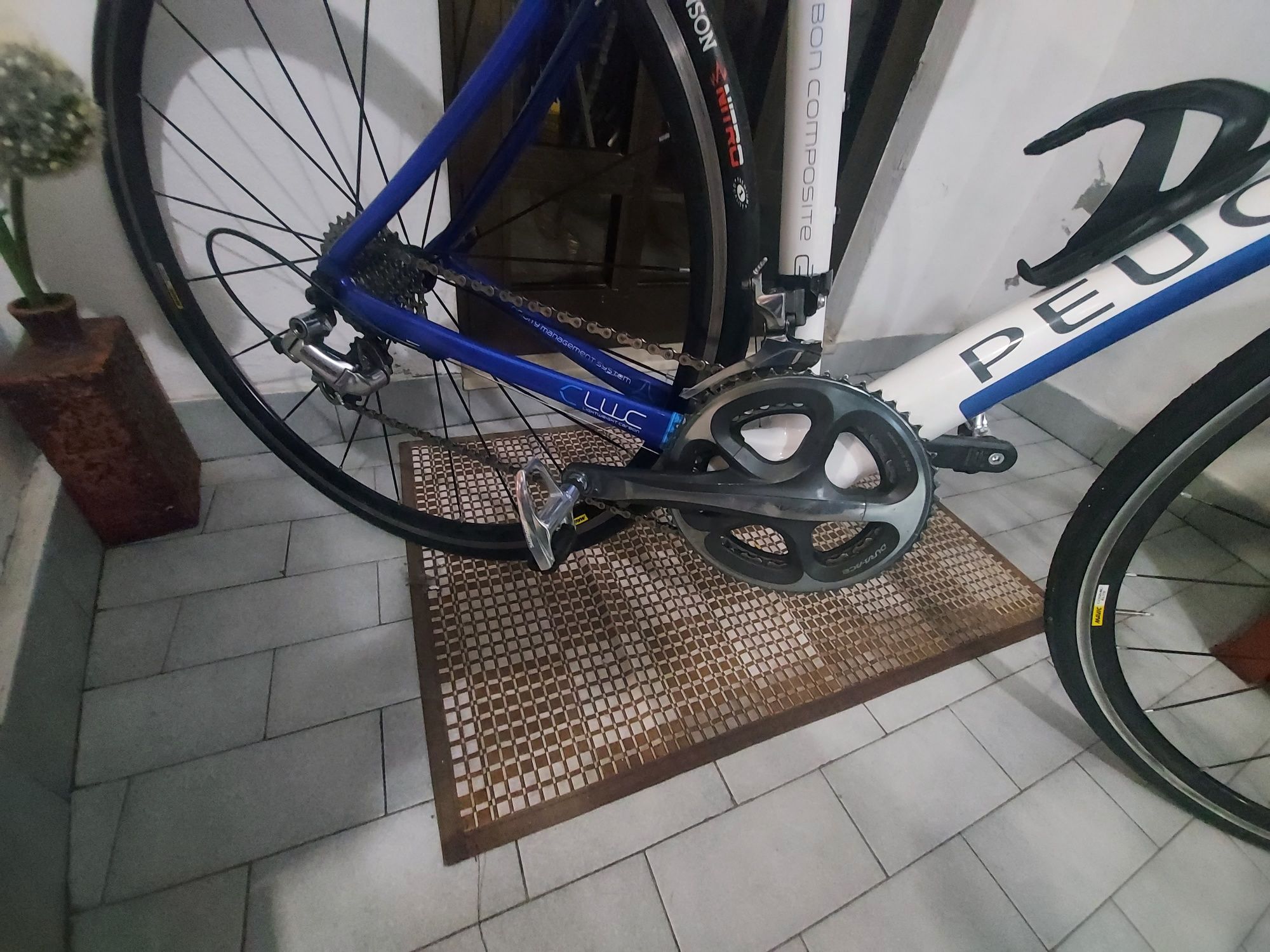 Bicicleta de estrada Peugeot carbono