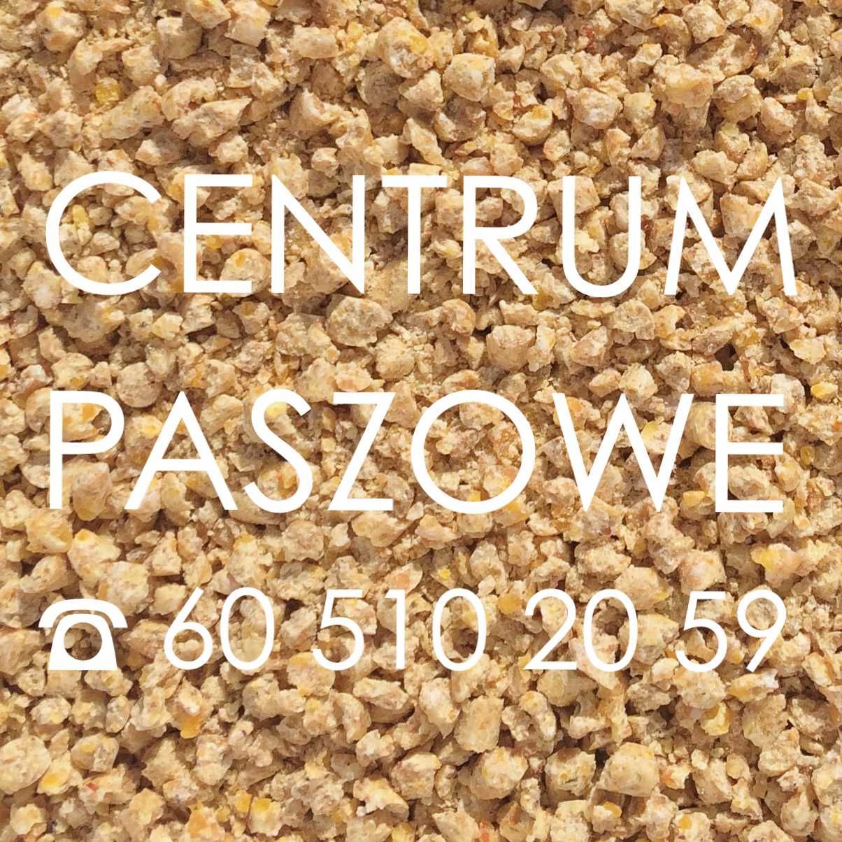 Pasza dla kur niosek 17% białka! 25kg karma kury kura nioska CAŁY KRAJ