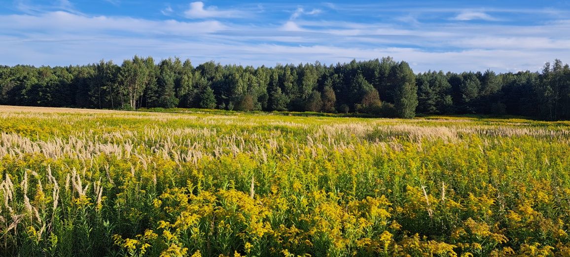 Działka inwestycyjna