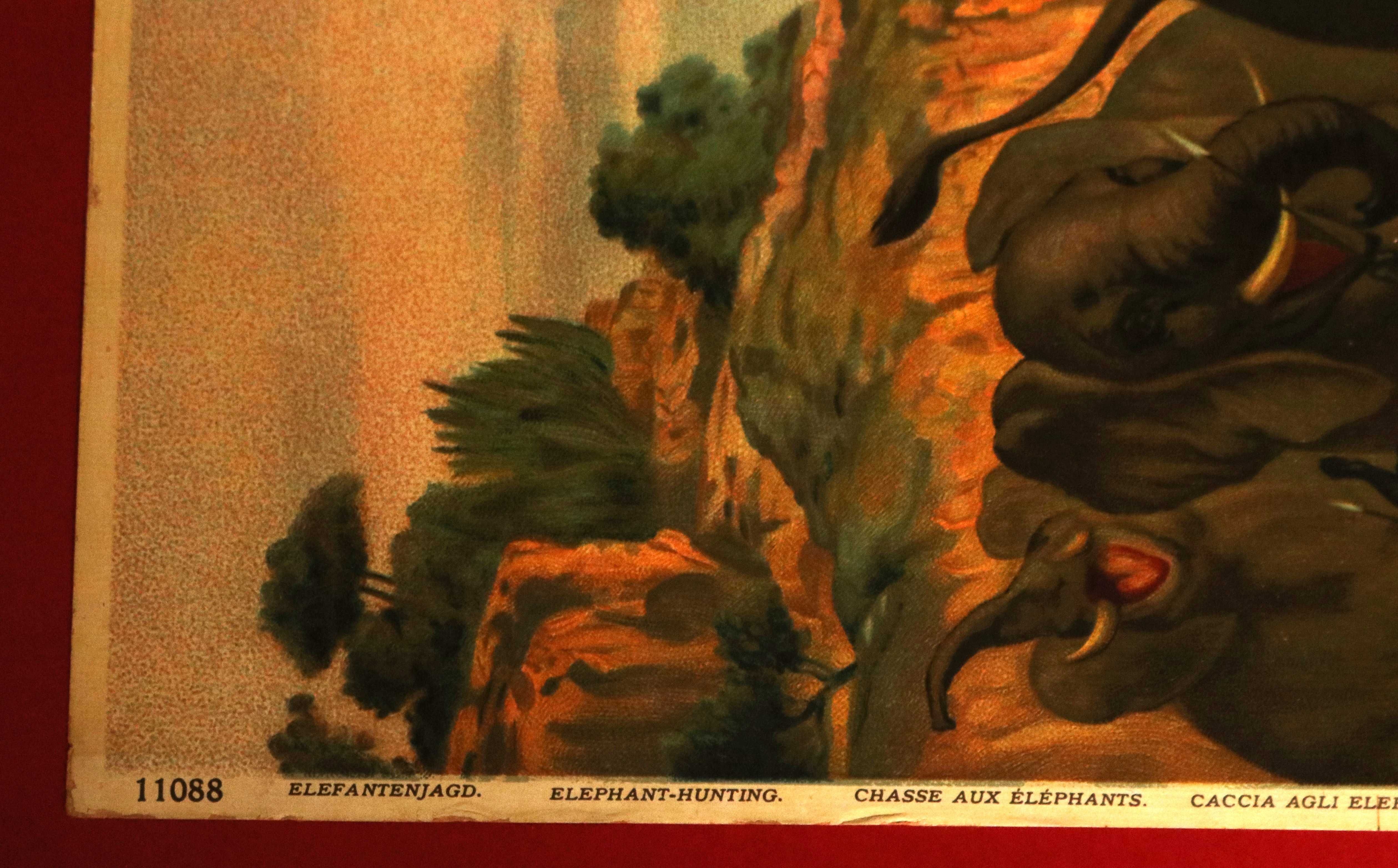 Caça aos Elefantes grande cromolitografia 1885 Theodor Breitwieser