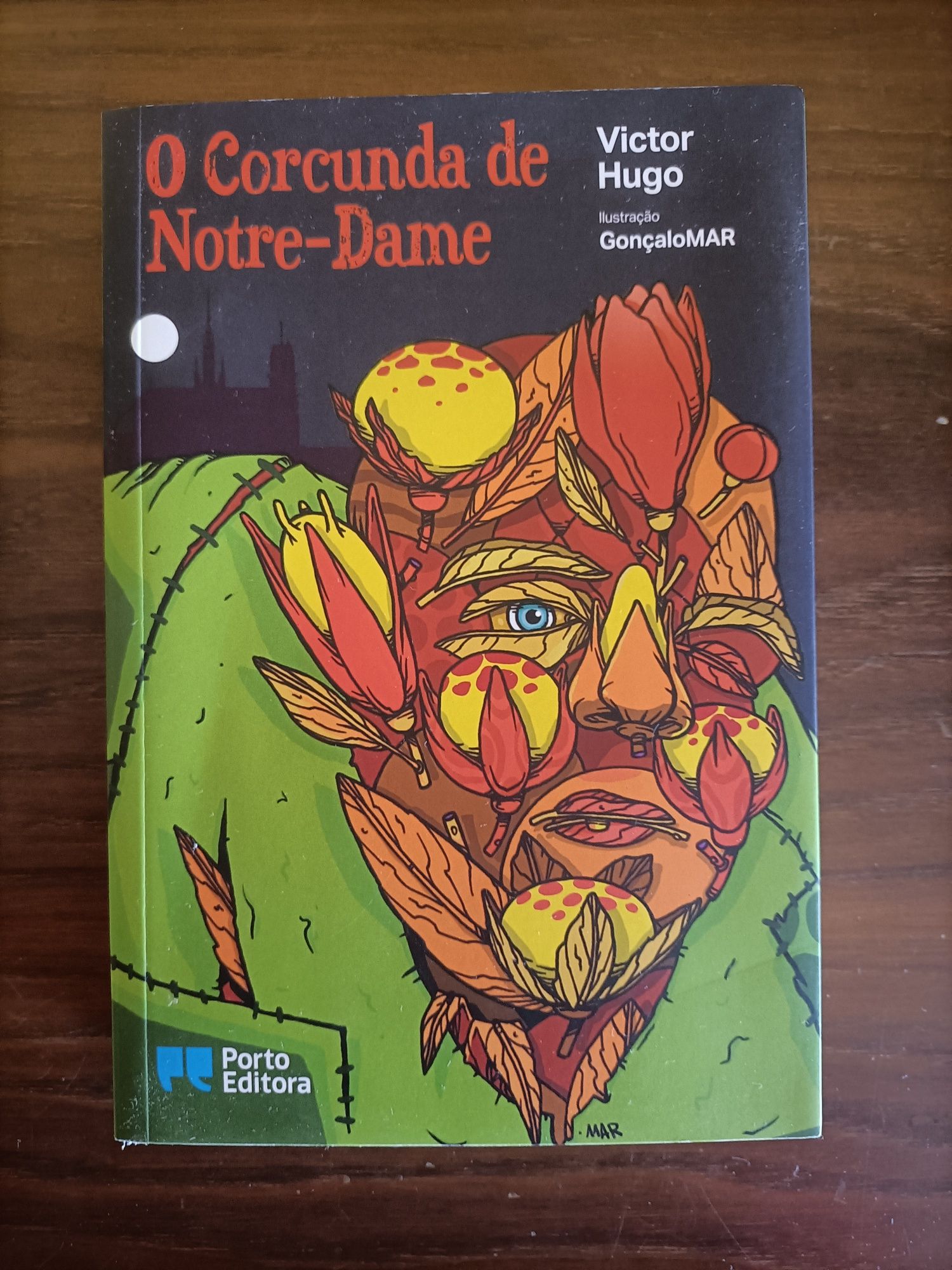 Livro "O Corcunda de Notre-Dame"