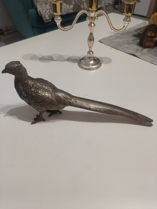 Poroża Jelonka na desce