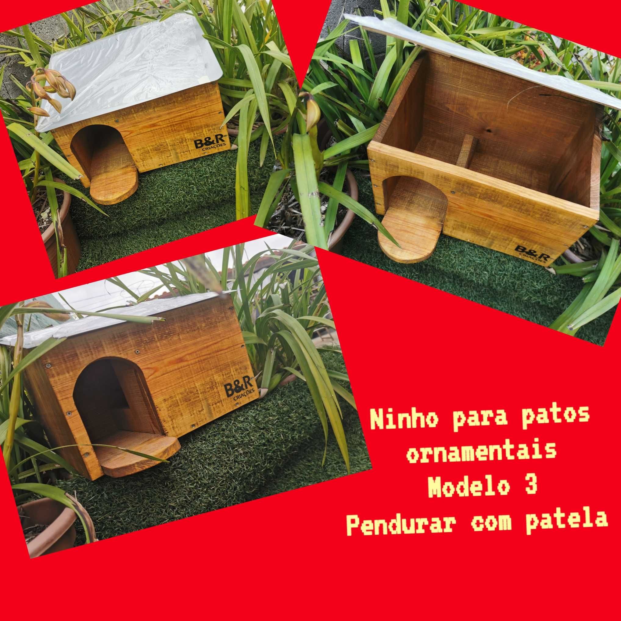 Ninhos para patos ornamentais