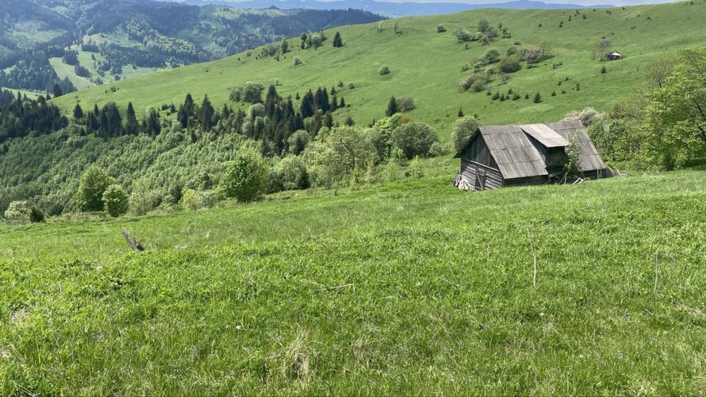 УНІКАЛЬНА МОЖЛИВІСТЬ! Приватна ділянка в серці Капрат.