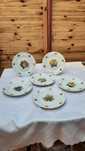 Piękny komplet starych porcelanowych talerzy,syg.MZ Czechoslovakia.