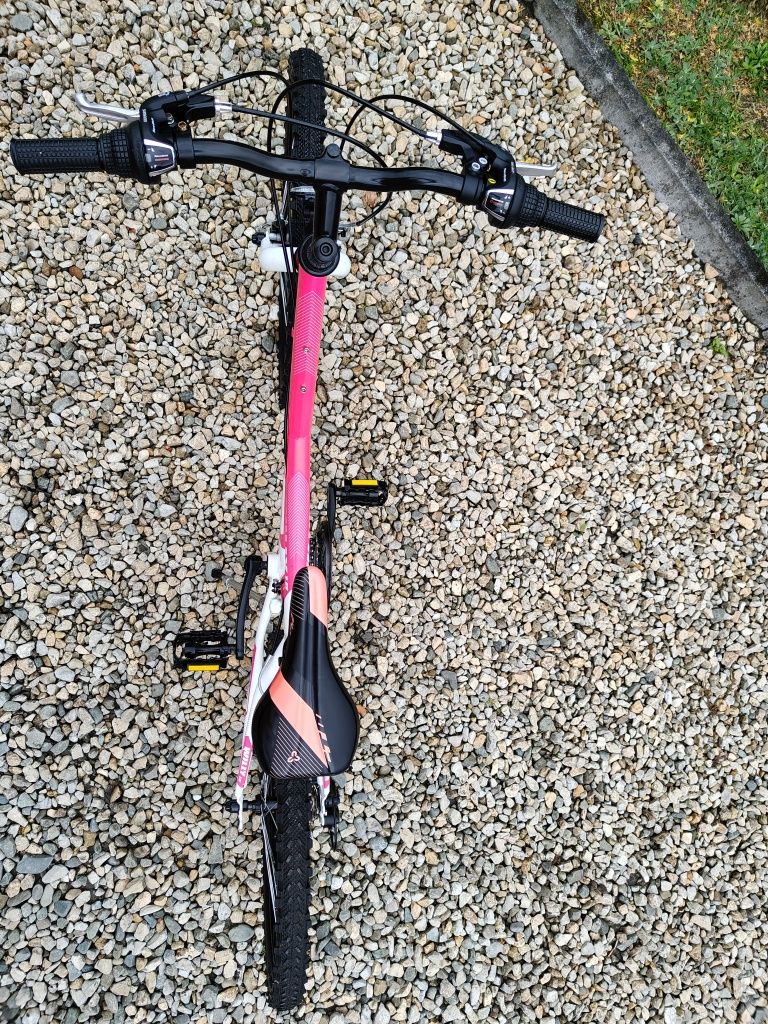 Rower CTM Willy 1.0 24 cale