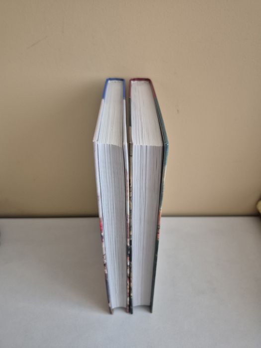 Повседневная жизнь.Ціна за дві.