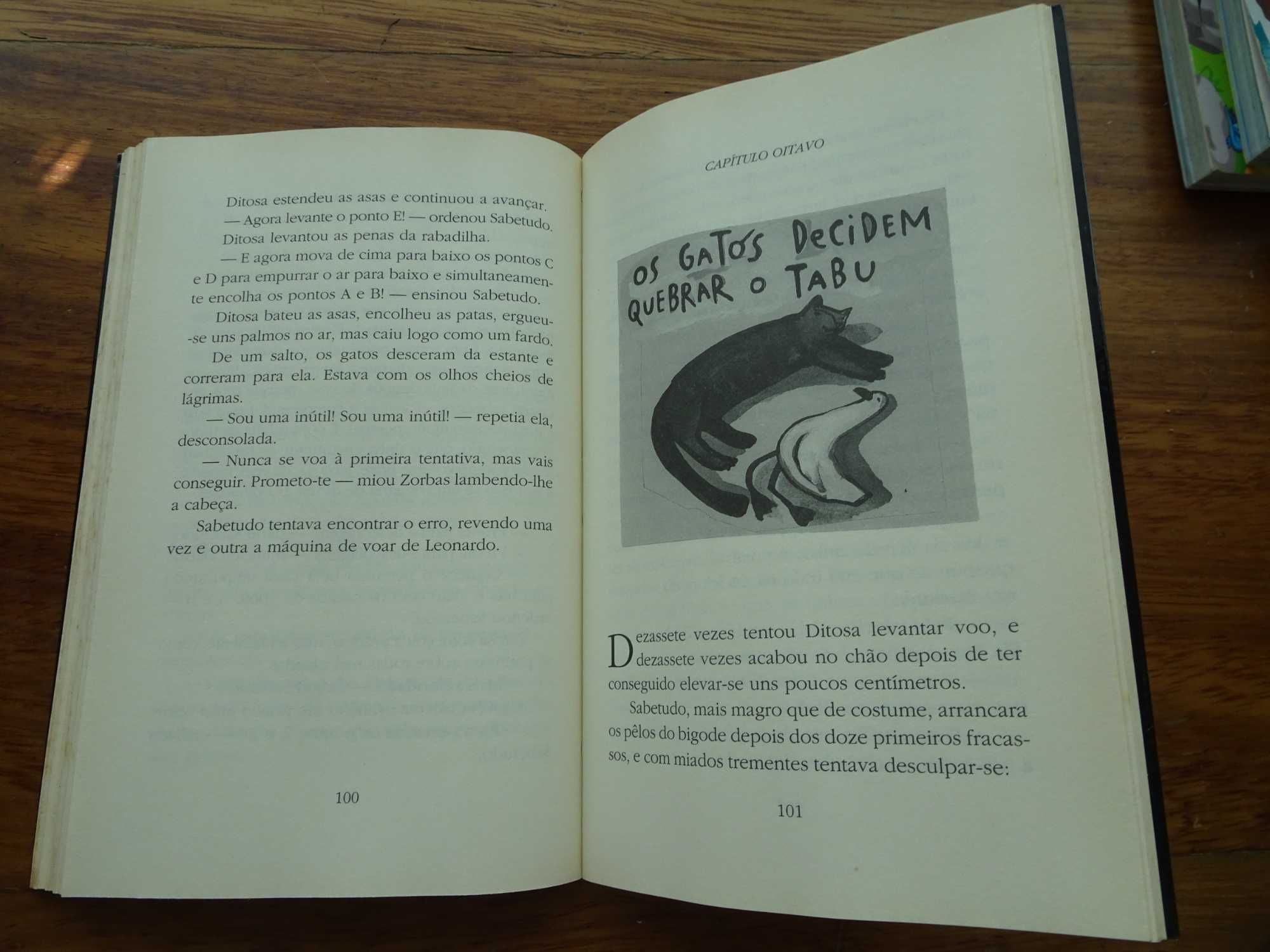 História de Uma Gaivota e do Gato Que A Ensinou A Voar