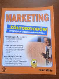 Marketing dla żółtodziobów czyli podstawowa wiedza o marketingu