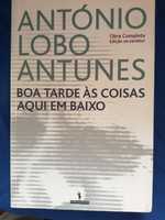 António Lobo Antunes, Boa Tarde Às Coisas Aqui em Baixo