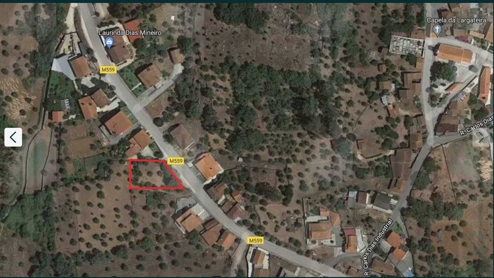 Terreno Rústico 600m² p/CONSTRUÇÃO c/Oliveiras || Lagarteira, Ansião