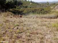 Terreno  para venda