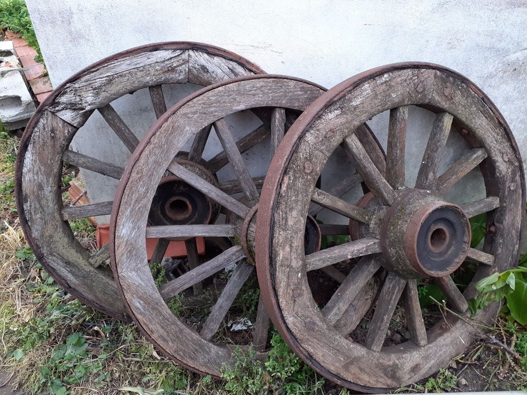 Roda de carro de bois