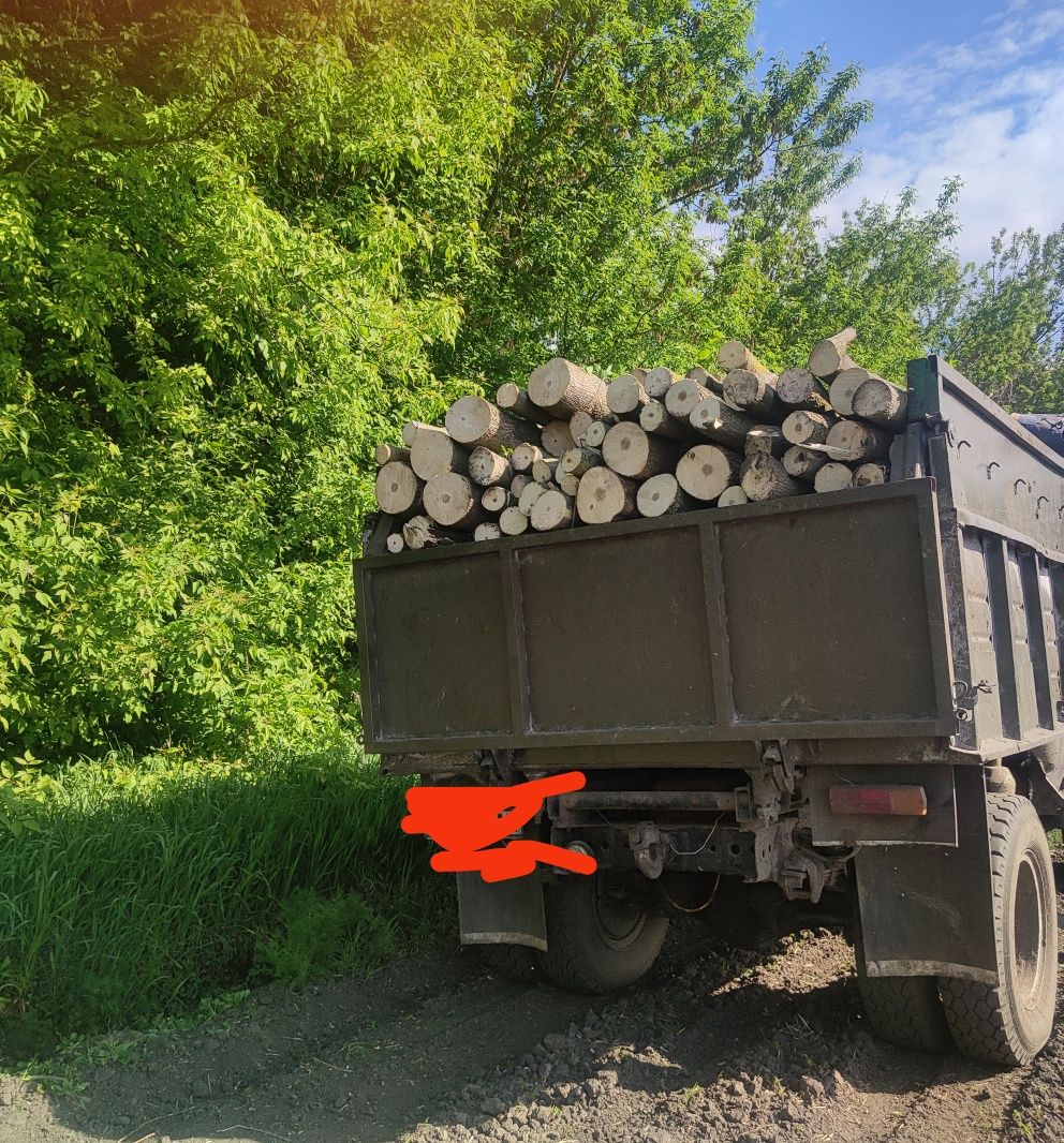 АКЦІЯ ДРОВА  ВІД 5500 Дрова, сухие и сырые   метровки  чурками, возмож