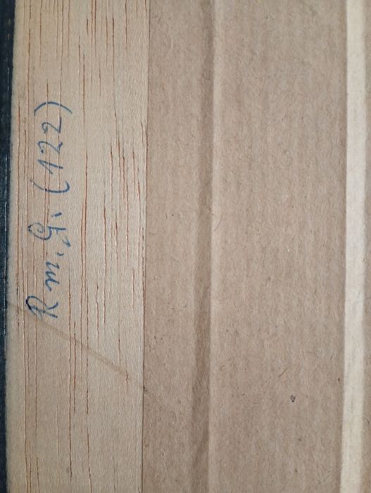 Drzeworyt rycina piękna duża