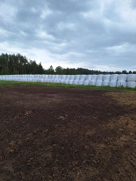 Sianokiszonka z traw sianych