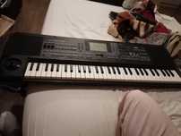 Keyboards Korg micro arranger