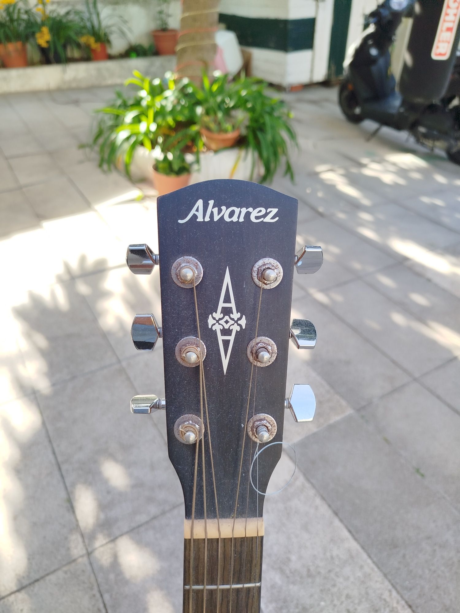 Guitarra acústica Alvarez